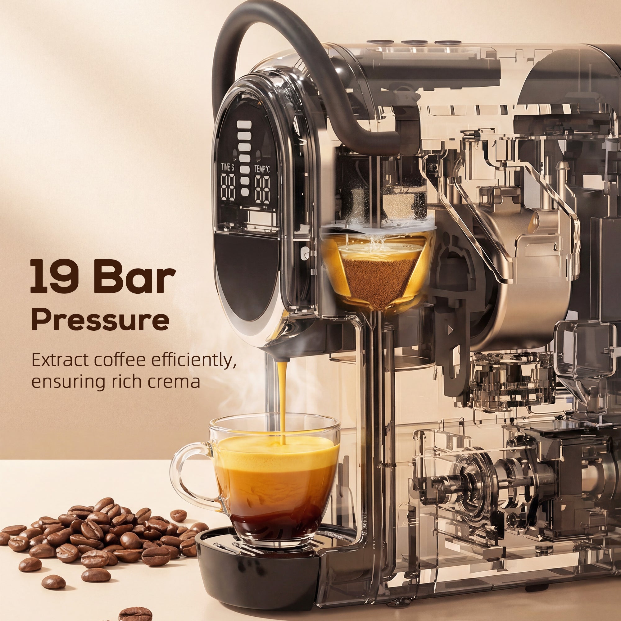 Pod Coffee Machine for Nespresso Original, Dolce Gusto Capsule and Ground Coffee, Small Semi Automatic Coffee Maker with 19 Bar Pump and 0.6L Water Tank for Home Office, Black