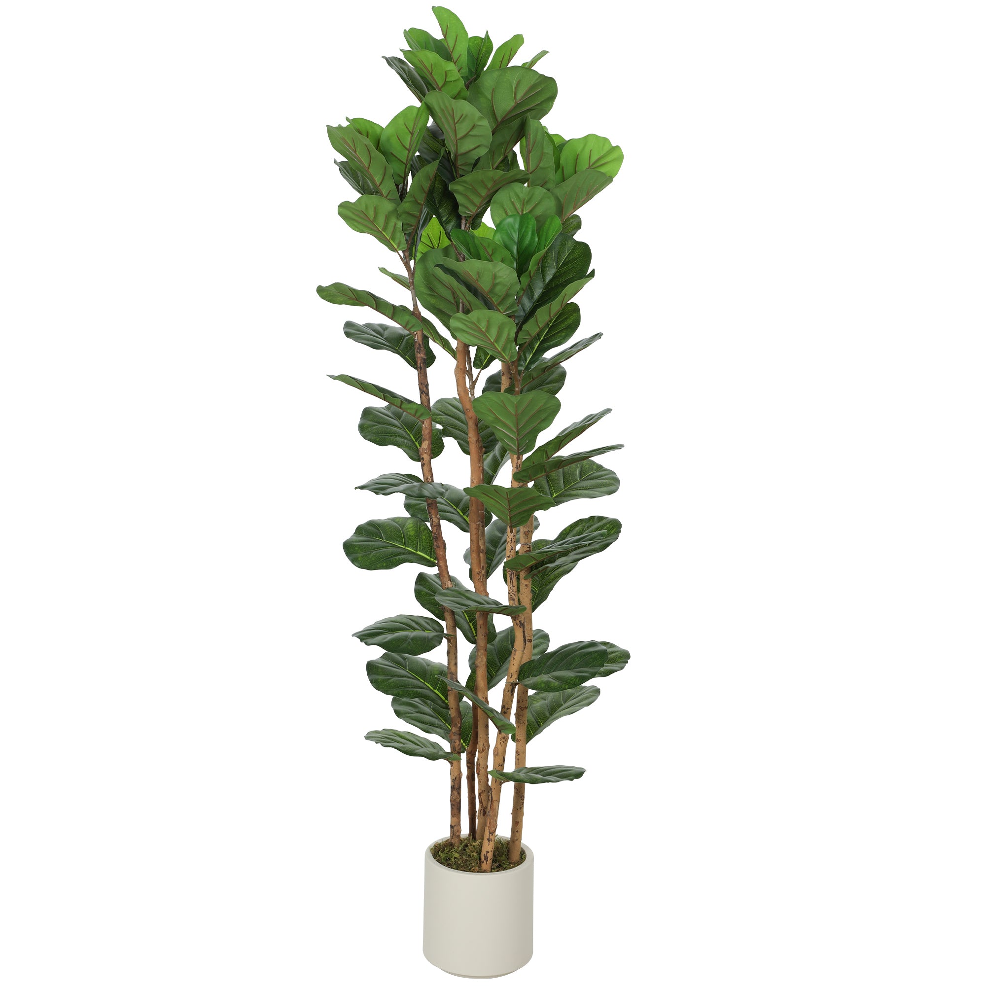 6FT Artificial Fiddle Leaf Fig Tree with Solid Wood Trunks, Lifelike Fake Tree with 91 Leaves in Pot for Indoor Living Room Office Home Decor, Green