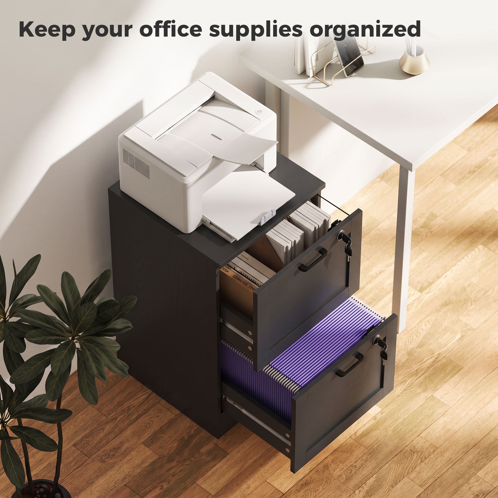 2 Drawer File Cabinet with Lock, Vertical Filing Cabinet with Adjustable Hanging Bars for A4 and Letter Size File Folders, Printer Stand with Storage, Black Wood Effect