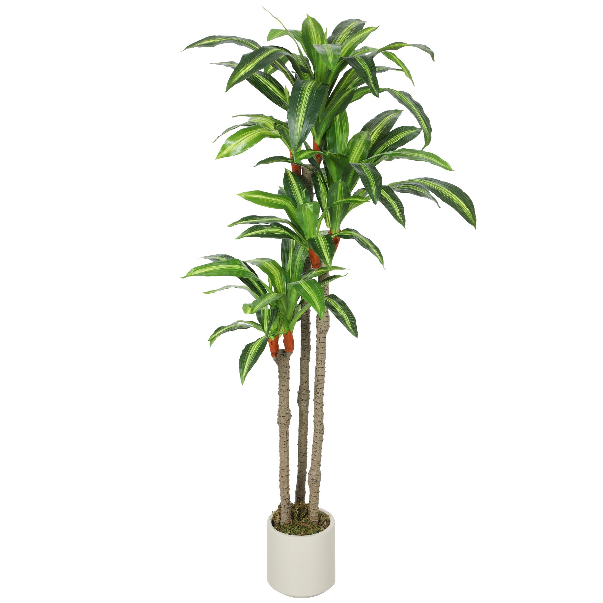 5FT Artificial Dracaena Tree, Lifelike Dracaena Fake Plant with Bendable Trunks and White Planter for Living Room Bedroom Home Office Decor, Green