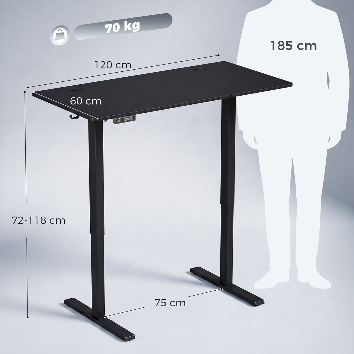 Electric Standing Desk Height Adjustable 120 x 60cm, Sit Stand Desk with 3 Memory Presets, Quiet Home Office Computer Desk with LED Display, Cable Holes & Hooks for Bedroom, Home Office, Black