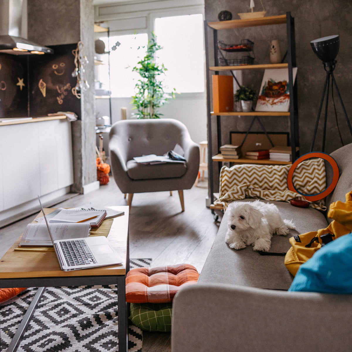 Discover Quality & Style at Homcom - Your Ultimate Home Destination