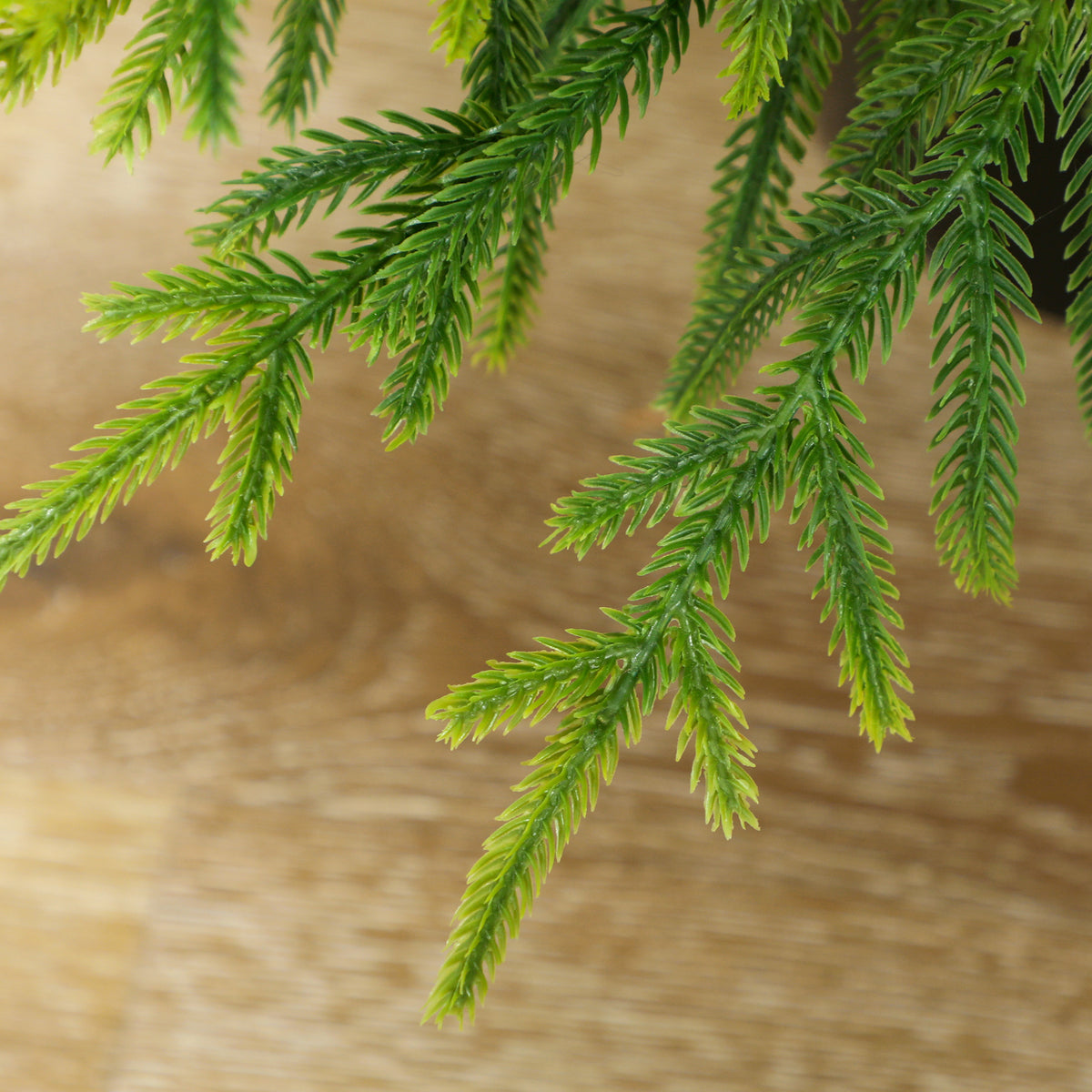 Norfolk Pine Christmas Tree Real Touch 4FT Artificial Xmas Tree, Indoor Outdoor Decoration for Front Porch, Entryway, Living Room, Set of 2