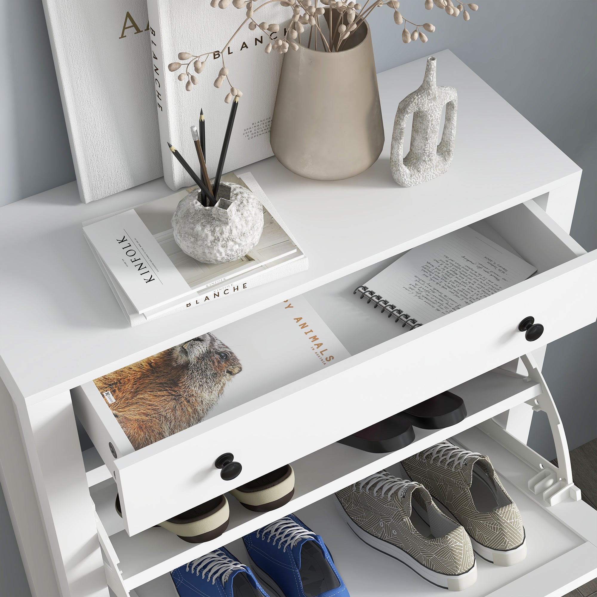 Shoe Storage Cabinet with 2 Flip Drawers for 8 Pairs of Shoes